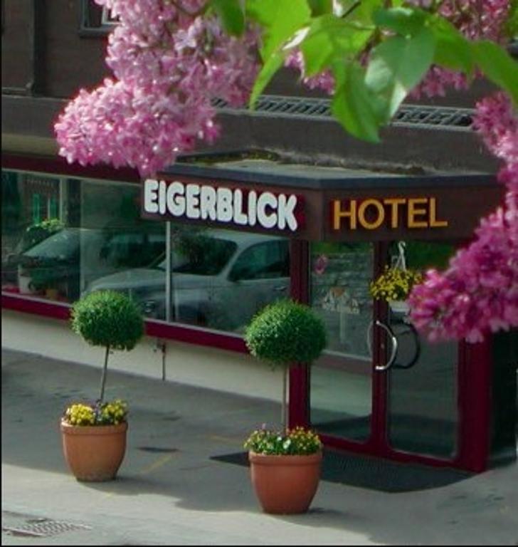 Hotel Eigerblick Grindelwald Eksteriør billede